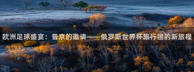 女足世界杯赛程：欧洲足球盛宴：普京的邀请——俄罗斯世界杯旅行团的新旅程
