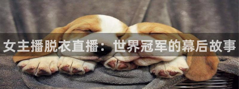 2026年世界杯赛程：女主播脱衣直播：世界冠军的幕后故事