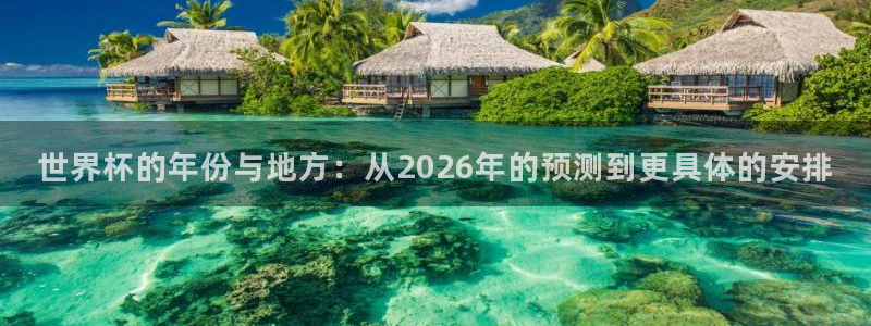 世界杯直播观看：世界杯的年份与地方：从2026年的预测到更具体的安排