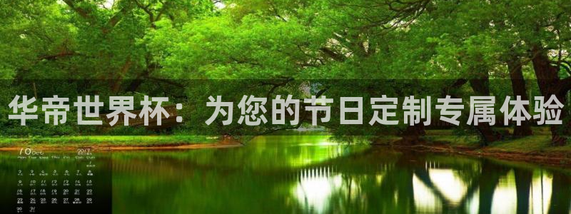 世界杯欧洲区预选赛：华帝世界杯：为您的节日定制专属体验
