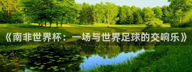 足球世界杯预选赛：《南非世界杯：一场与世界足球的交响乐》