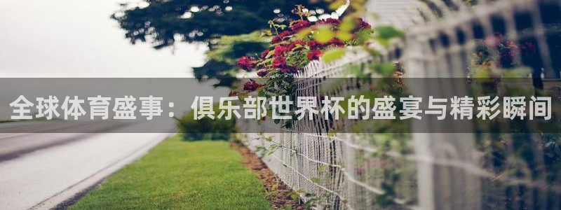 2026足球世界杯：全球体育盛事：俱乐部世界杯的盛宴与精彩瞬间